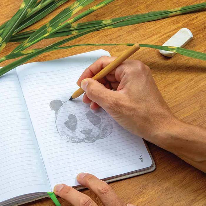 Palez Bamboo Eternity Pencil. Graphite tip (2)